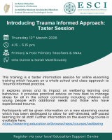 Introducing a Trauma Informed Approach - Taster Session (Primary & Post Primary)
