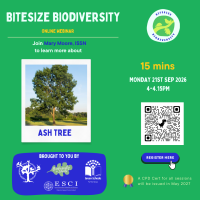Weekly Bitesize Biodiversity Series (15 Minutes) - Ash Tree