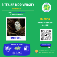 Weekly Bitesize Biodiversity Series (15 Minutes) - Barn Owl