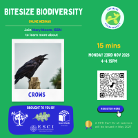 Weekly Bitesize Biodiversity Series (15 Minutes) - Crows