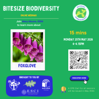 Weekly Bitesize Biodiversity Series (15 Minutes) - Foxglove