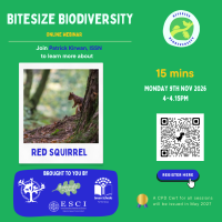 Weekly Bitesize Biodiversity Series (15 Minutes) - Great Red Squirrel