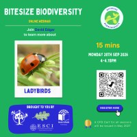 Weekly Bitesize Biodiversity Series (15 Minutes) - Ladybirds