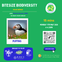 Weekly Bitesize Biodiversity Series (15 Minutes) - Puffins