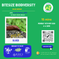 Weekly Bitesize Biodiversity Series (15 Minutes) - Slugs