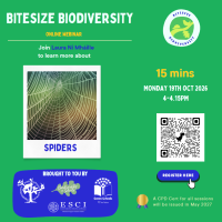 Weekly Bitesize Biodiversity Series (15 Minutes) - Spiders