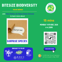 Weekly Bitesize Biodiversity Series (15 Minutes) - Surprise Species